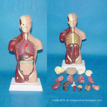Hochwertige menschliche Anatomie Physiologie Skeleton Körperteile Modell (R030113)